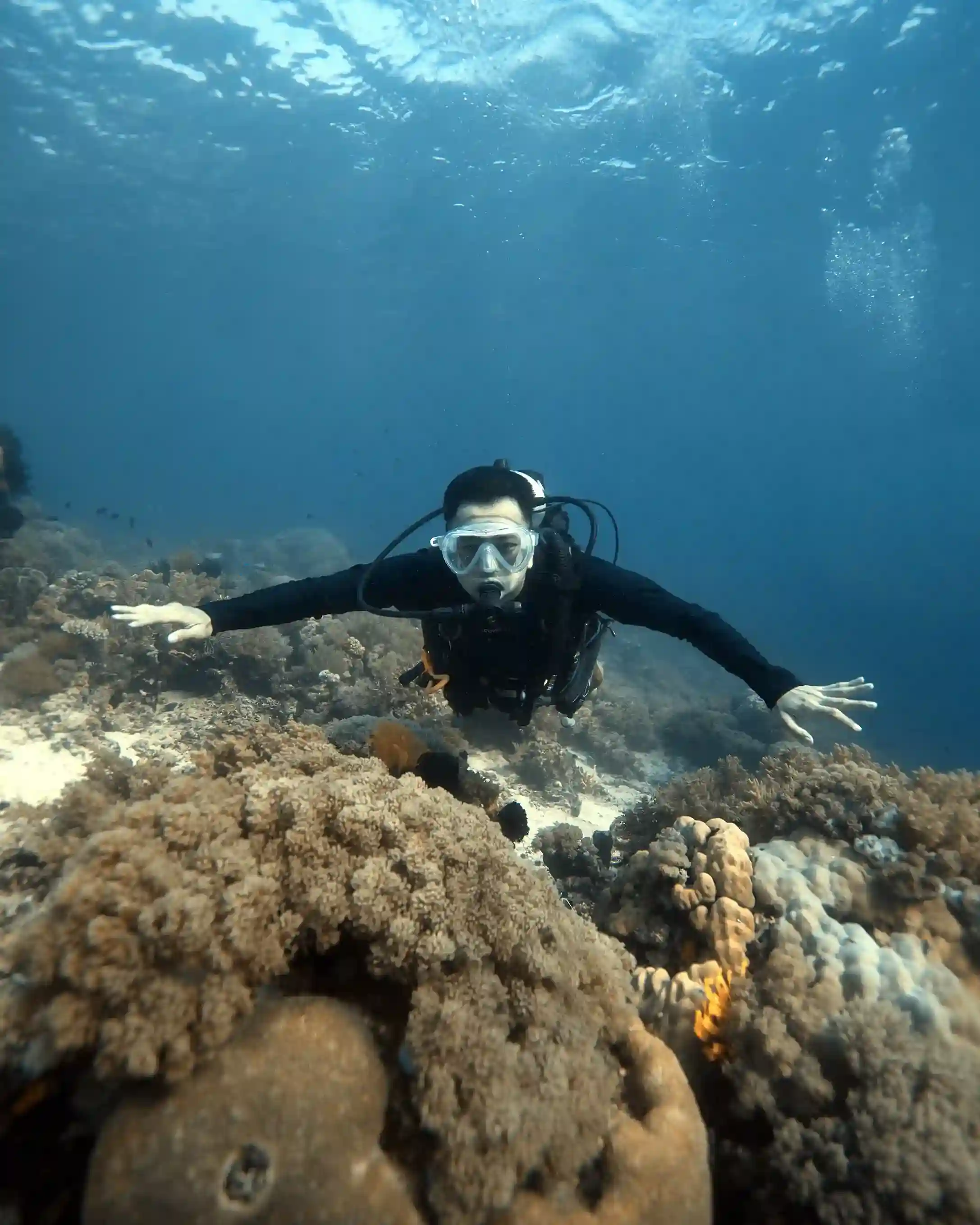 Advanced Diving: Castle Rock, Crystal Rock and Batu Bolong
