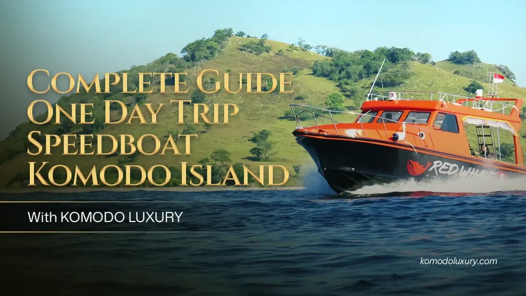 Complete Guide One Day Trip Komodo Island | Komodo Luxury