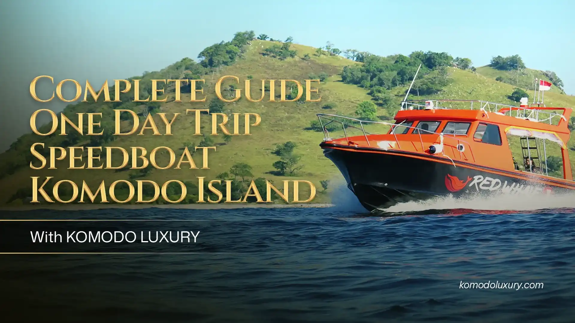 Complete Guide One Day Trip Komodo Island | Komodo Luxury